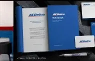 Visual identity system