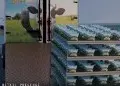 Retail presence